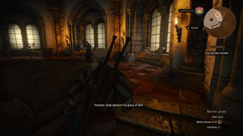 disturbance witcher 3.